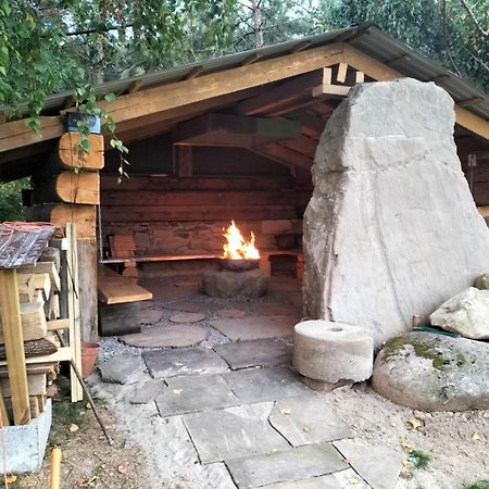 Domek Pod Krolowem Ustroń Eksteriør billede